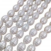 Shell Pearl, Rice, DIY, white Approx 38 cm 