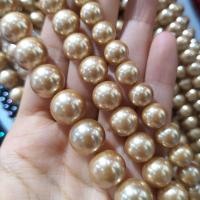 South Sea Shell Beads, Shell Pearl, Round, DIY Champagne Approx 38 cm 