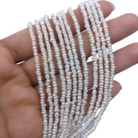 Keshi Cultured Freshwater Pearl Beads, DIY, white, 2mm Approx 38 cm 