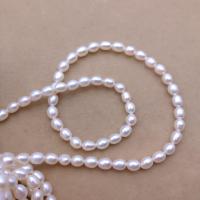 Rice Cultured Freshwater Pearl Beads, DIY, white, Length about 5-6mm Approx 35-37 cm, Approx 
