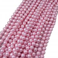 South Sea Shell Beads, Shell Pearl, Round, DIY pink Approx 38 cm 