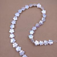 Natural Freshwater Pearl Loose Beads, Plum Blossom, DIY, white, Length about 12-13mm Approx 38 cm, Approx 