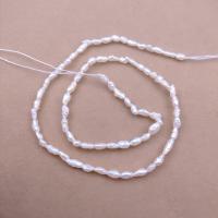 Baroque Cultured Freshwater Pearl Beads, DIY, white, 3mm Approx 38 cm 