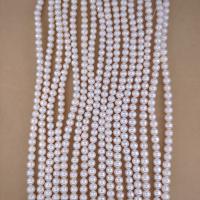 Naturel d'eau douce perles, perle d'eau douce cultivée, Légèrement rond, DIY, blanc, Length about 5.5-6.5mm Environ 38 cm, Environ Vendu par brin