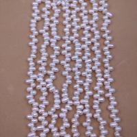 Rice Cultured Freshwater Pearl Beads, DIY, white, 4mm Approx 38 cm 