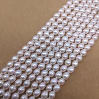 Rice Cultured Freshwater Pearl Beads, DIY, white, Length about 5-6mm Approx 36 cm, Approx 