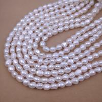Potato Cultured Freshwater Pearl Beads, DIY white Approx 2.5mm Approx 38 cm 