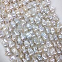Perles nacres baroques de culture d'eau douce , perle d'eau douce cultivée, DIY, blanc, Length about 14-15mm, Environ Vendu par brin