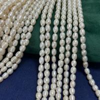 Rice Cultured Freshwater Pearl Beads, DIY, white, 5-6mm Approx 36 cm 