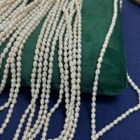 Rice Cultured Freshwater Pearl Beads, DIY, white, 3-4mm Approx 36 cm 
