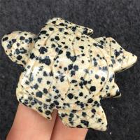 Gemstone Decoration, Dalmatian, Turtle, Carved, for home and office, mixed colors, 50mm 