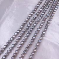 Natural Freshwater Pearl Loose Beads, Slightly Round, DIY grey Approx 38 cm 