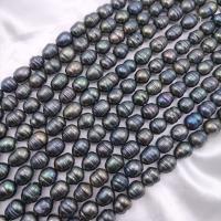 Rice Cultured Freshwater Pearl Beads, DIY, black, Length about 11-12mm Approx 38 cm, Approx 