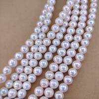 Natural Freshwater Pearl Loose Beads, Slightly Round, DIY white Approx 38 cm 