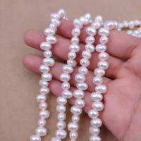 Rice Cultured Freshwater Pearl Beads, DIY, white, 6mm Approx 38 cm 