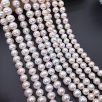 Naturel d'eau douce perles, perle d'eau douce cultivée, Légèrement rond, DIY, blanc, 9mm Environ 38 cm, Environ Vendu par brin