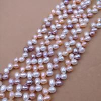Rice Cultured Freshwater Pearl Beads, DIY, mixed colors, 6mm Approx 38 cm 