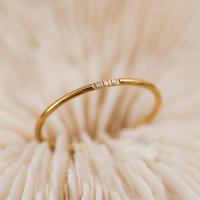チタン鋼の指環, チタン鋼, 真空イオンプレーティング, ファッションジュエリー & 異なるサイズの選択 & 女性用 & ライン石のある, 金色, 売り手 パソコン