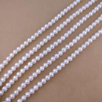 Naturel d'eau douce perles, perle d'eau douce cultivée, Légèrement rond, DIY, blanc, Length about 6-7mm Environ 38 cm, Environ Vendu par brin
