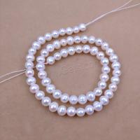 Natural Freshwater Pearl Loose Beads, Slightly Round, DIY white Approx 35 cm 