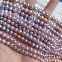 Natural Freshwater Pearl Loose Beads, Slightly Round, DIY Length about 5mm Approx 38 cm 