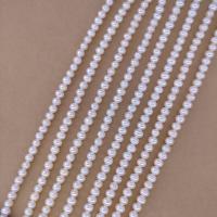 Natural Freshwater Pearl Loose Beads, Slightly Round, DIY, white, Length about 5-5.5mm Approx 38 cm 