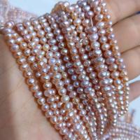 Natural Freshwater Pearl Loose Beads, Slightly Round, DIY Length about 3.5mm Approx 38 cm, Approx 