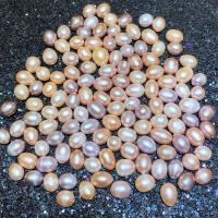 Rice Cultured Freshwater Pearl Beads, DIY, Random Color, 8-9mm 