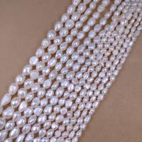 Keshi Cultured Freshwater Pearl Beads, DIY white Approx 35-39 cm 