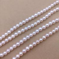 Naturel d'eau douce perles, perle d'eau douce cultivée, Légèrement rond, DIY, blanc, Length about 5-5.5mm Environ 38 cm, Vendu par brin