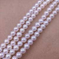 Naturel d'eau douce perles, perle d'eau douce cultivée, Légèrement rond, DIY, blanc, Length about 6-6.5mm Environ 38 cm, Vendu par brin