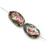 Abalone Shell Beads, irregular, DIY, Length about 13-18mm,Hight about 18-30mm 