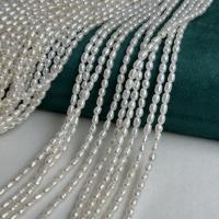 Rice Cultured Freshwater Pearl Beads, DIY, white, 2.5-3mm Approx 36 cm 