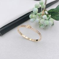 Titane bracelet en acier et bracelet, Acier titane, bijoux de mode & avec strass, plus de couleurs à choisir, Bracelet mm, Vendu par PC