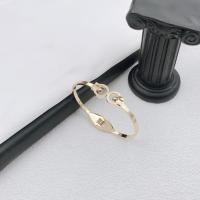 Titane bracelet en acier et bracelet, Acier titane, bijoux de mode, plus de couleurs à choisir, Bracelet mm, Vendu par PC