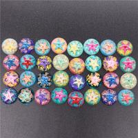 Imitation Amber Resin Cabochon, with Starfish, Round, epoxy gel, DIY, mixed colors 