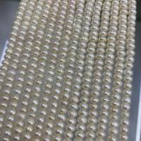 Naturel d'eau douce perles, perle d'eau douce cultivée, Plat rond, DIY, blanc, 4.5-5mm Environ 37 cm, Vendu par brin