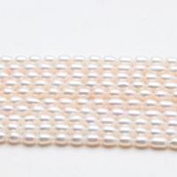 Perles d'eau douce de culture de riz, perle d'eau douce cultivée, DIY, blanc, pearl length 7-8mm Environ 36-38 cm, Vendu par brin[