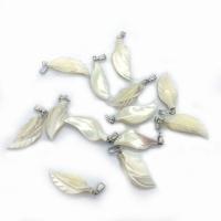 Natural Seashell Pendant, Shell, Leaf, DIY, white [