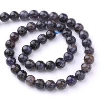 Single Gemstone Beads, Iolite, Round, DIY dark purple [
