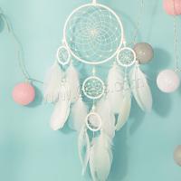 Fashion Dream Catcher, Feather, with leather cord & Plastic & Iron, handmade, for home and office white, 750mm 
