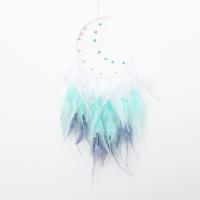 Fashion Dream Catcher, Feather, with leather cord & Plastic & Iron, Moon, handmade, for home and office mixed colors, 650mm [