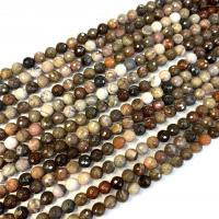 Single Gemstone Beads, Petrified Wood Palm Stone, Round, polished, DIY & faceted Approx 38 cm 