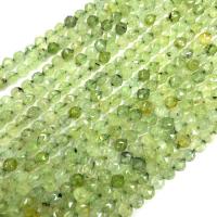 Prehnite Beads, Natural Prehnite, polished, DIY & faceted, 8mm Approx 38 cm 
