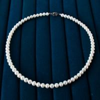 perle d'eau douce cultivée collier, Rond, bijoux de mode & pour femme, blanc, 6-6.5mm cm, Vendu par brin