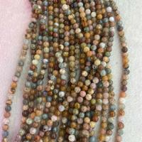 Single Gemstone Beads, Marine Fossil, Round, DIY mixed colors Approx 38 cm 