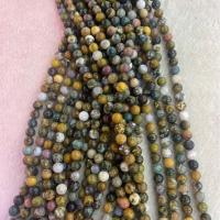 Perles de pierre gemme unique, Fossile marin, Rond, DIY & normes différentes pour le choix, couleurs mélangées Environ 38 cm, Vendu par brin