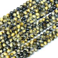 Tiger Eye Beads, Round, polished, coated & DIY Approx 38 cm 