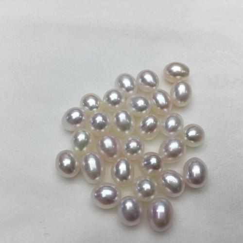 Rice Cultured Freshwater Pearl Beads, DIY white 