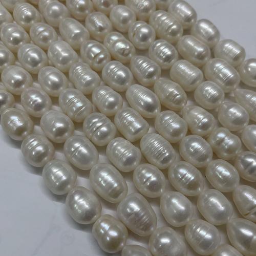 Perles d'eau douce de culture de riz, perle d'eau douce cultivée, DIY, blanc, 11-12mm, Environ Vendu par brin
